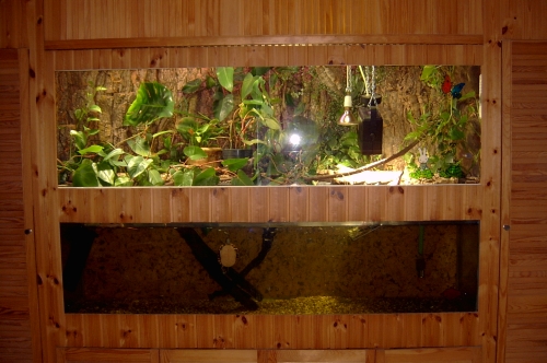 Aquaterrarium fr Sdliche Zierschildkrten - Chrysemys picta dorsalis