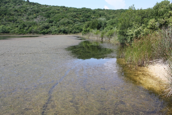 Lebensraum von Emys orbicularis auf der Insel Korfu