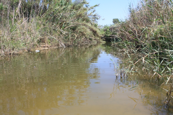 Lebensraum von Emys orbicularis und Mauremys rivulata auf der Insel Korfu